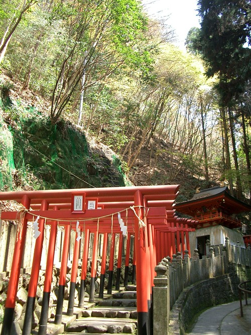 狸谷山不動院（京都府京都市左京区）_c0219820_21101465.jpg