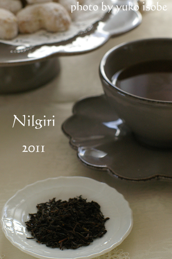 ニルギリ 2011_a0169924_10642100.jpg