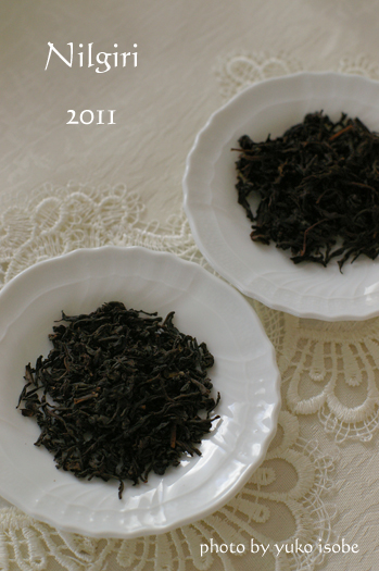 ニルギリ 2011_a0169924_106646.jpg