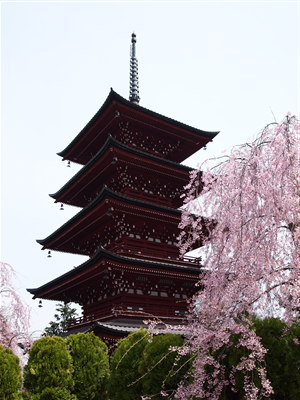 b0147224_23284845.jpg