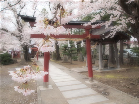 b0147224_23345249.jpg