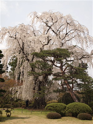 b0147224_23481499.jpg