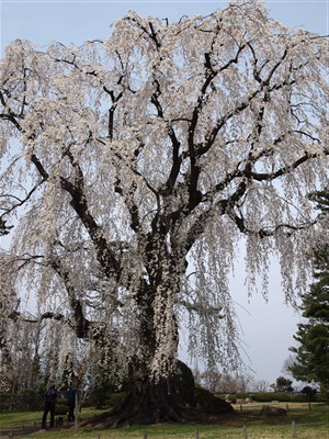 b0147224_23483172.jpg