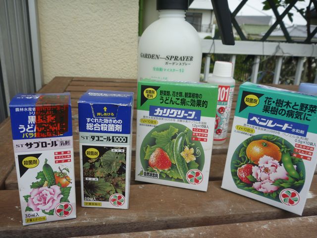 病害虫対策_b0054727_17345892.jpg