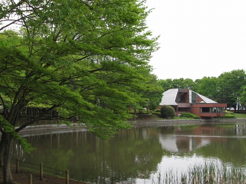 2011.04.30　緑の洞峰公園_e0202031_215455.jpg