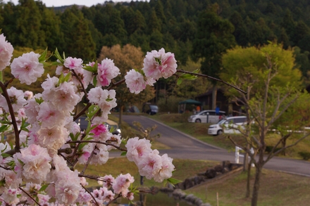 グリーンウッド関ヶ原(1日目)_c0113733_2141916.jpg