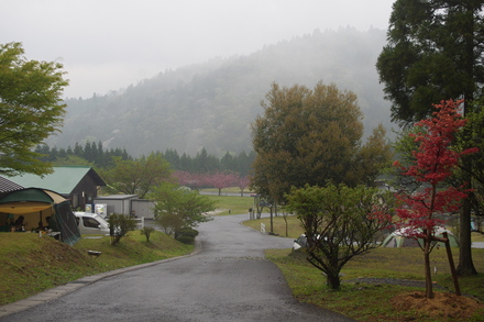 グリーンウッド関ヶ原(3日目)_c0113733_3163073.jpg