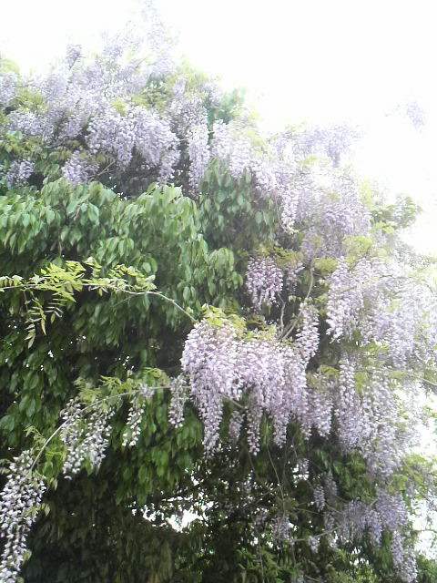 d0169933_10204938.jpg
