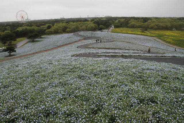 e0064133_23243831.jpg