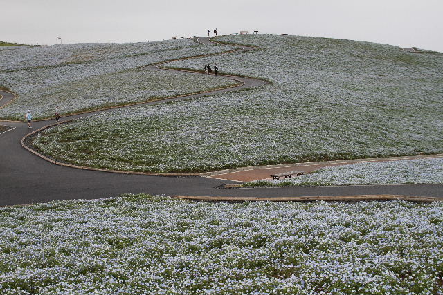 e0064133_23245572.jpg