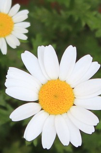 c0118235_2221562.jpg