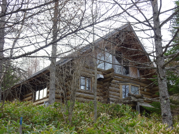 d0170835_73839.jpg