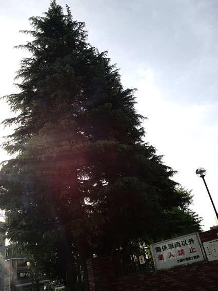 c0125637_0172531.jpg