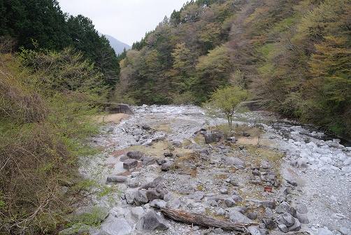 a0048040_2133091.jpg