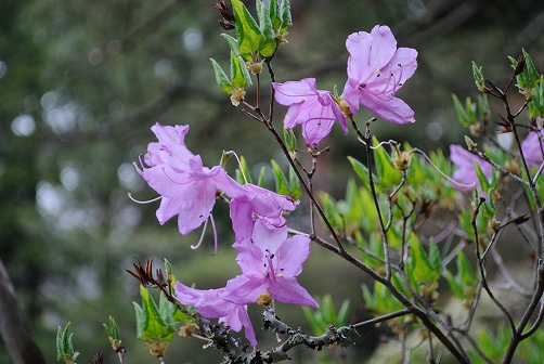 a0048040_2134455.jpg