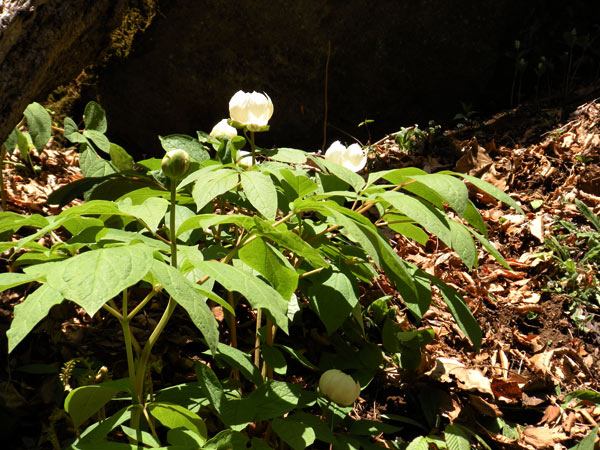 c0047341_2318144.jpg