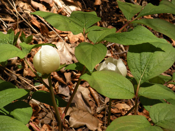 c0047341_23182724.jpg
