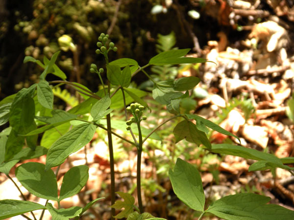 c0047341_23185013.jpg