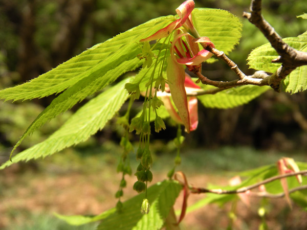 c0047341_23203962.jpg