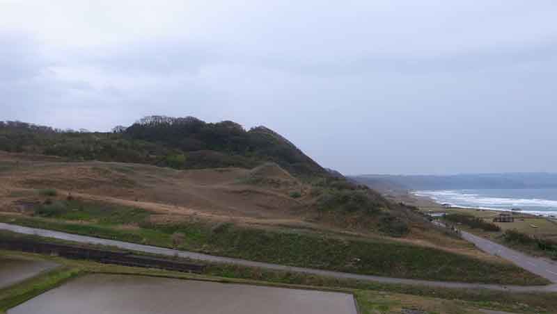 佐渡遠征 3日目 トキ三昧_d0067943_18535271.jpg