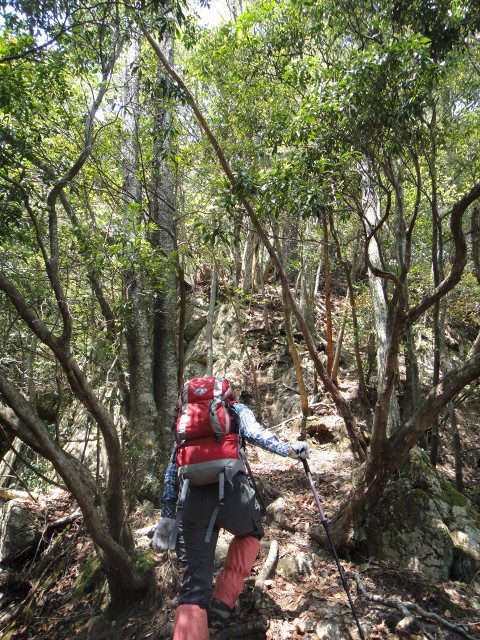 夏木山登山　2011_e0151447_2295574.jpg