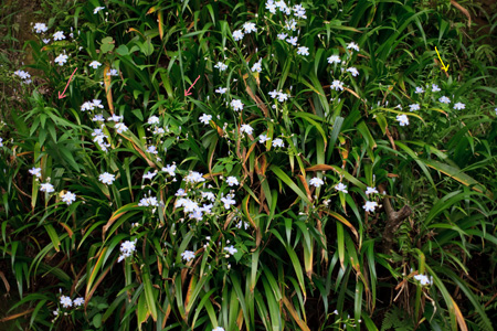 b0087456_9485316.jpg
