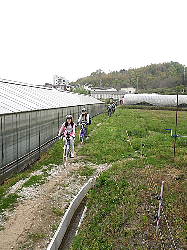 JOY BIKE「山の辺の道」_f0156359_22027.jpg