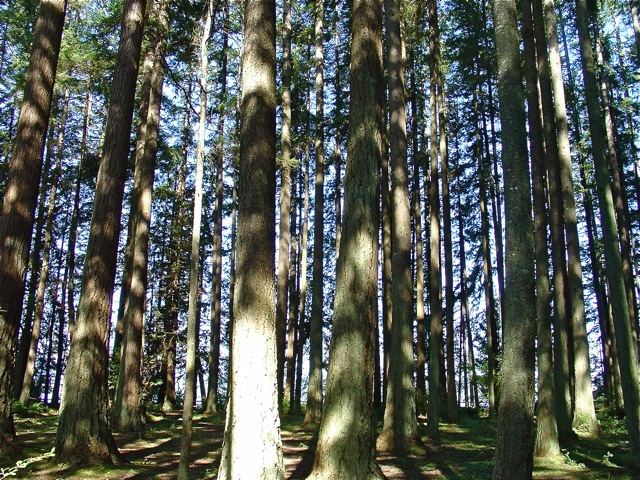 b0185262_13583211.jpg