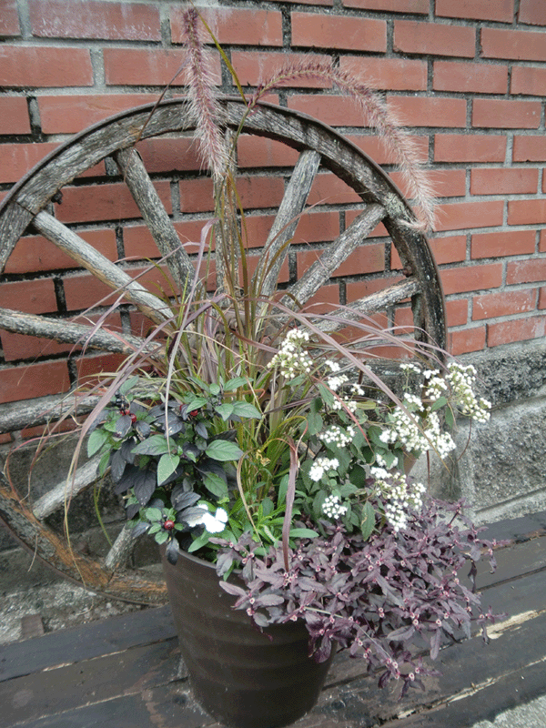 d0137664_21374768.gif