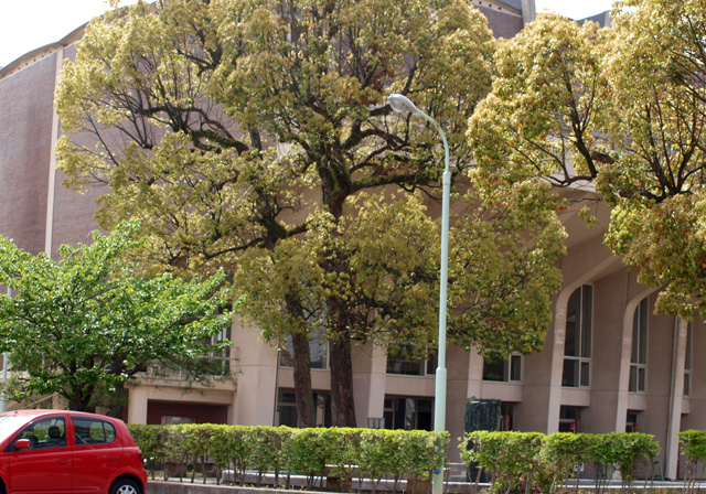 e0229374_05538.jpg