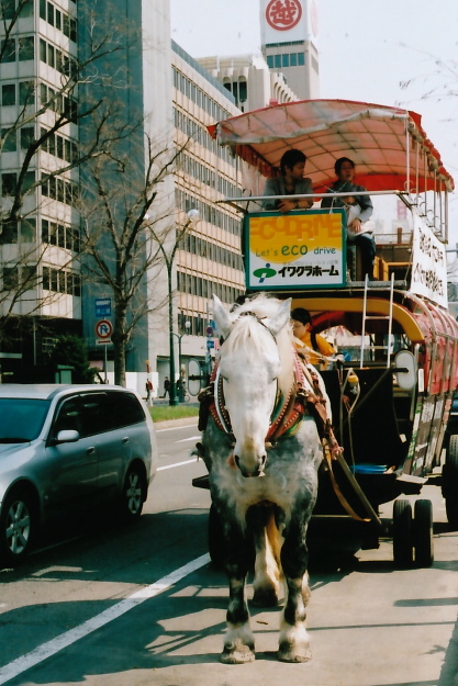 春の大通公園_e0199776_20211312.jpg