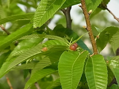 c0209377_22561421.jpg