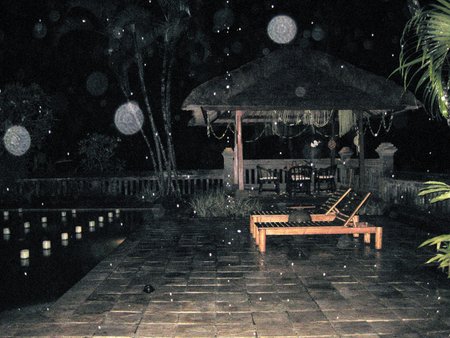 a0149478_2146265.jpg