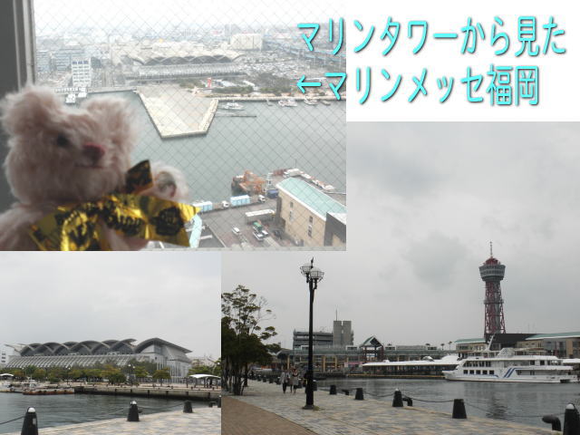 e0069481_16414659.jpg