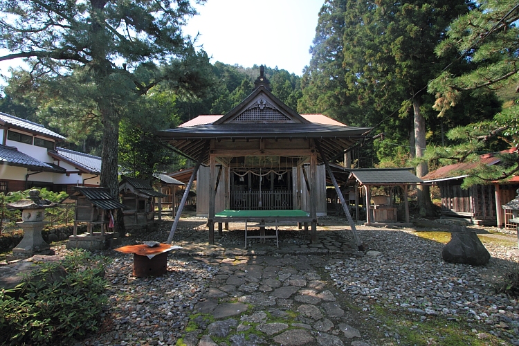 黒田百年桜_e0051888_4583434.jpg