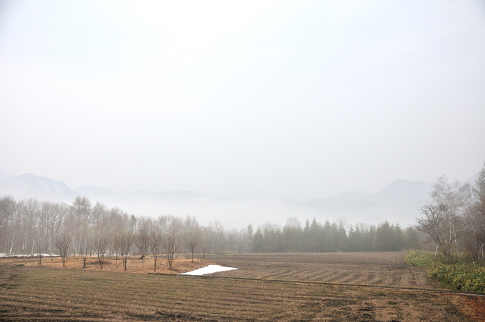 b0217090_10455823.jpg