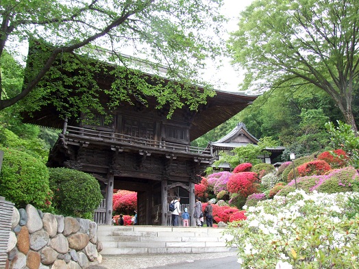 つつじのお寺と牡丹のお寺_d0099791_17212930.jpg