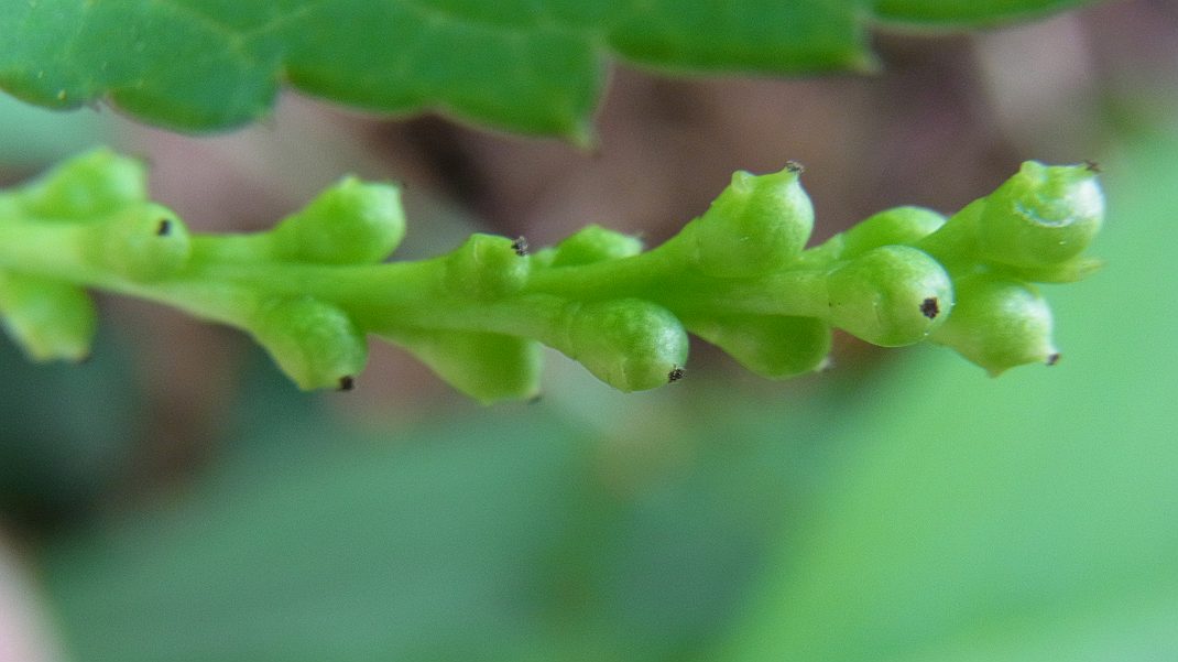a0152692_20849.jpg