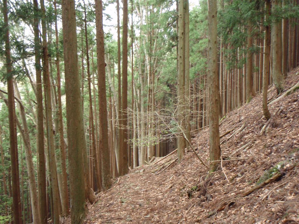 GW 兵庫県川めぐり その2_c0177497_21582261.jpg