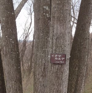 e0122199_0342037.jpg