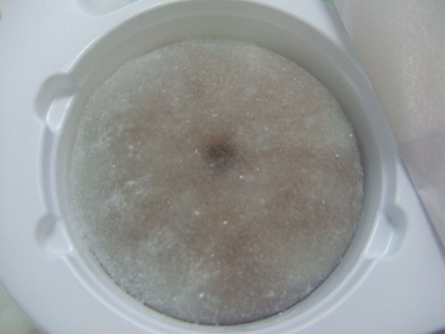 雪見だいふく ダブル生チョコレート_f0076001_2352049.jpg