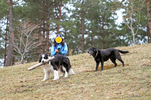 f0034602_15494319.jpg