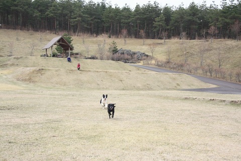 f0034602_15505718.jpg