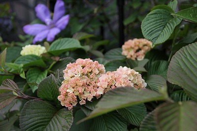a0123003_0122949.jpg