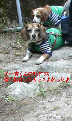 a0161310_13394336.jpg