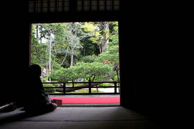 曼殊院 霧島ツツジ_e0048413_21332731.jpg