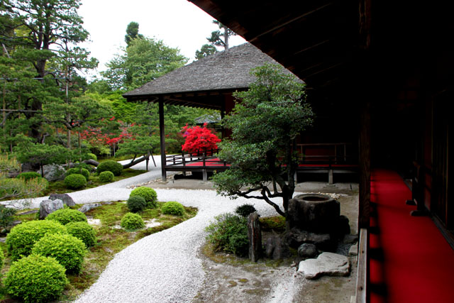 曼殊院 霧島ツツジ_e0048413_2134714.jpg