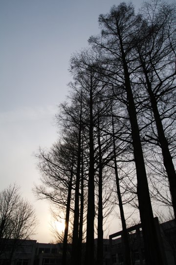 e0224413_21544067.jpg