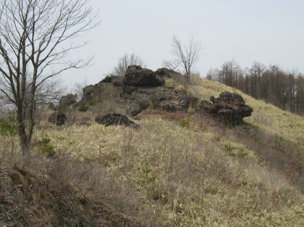 d0103314_2304176.jpg