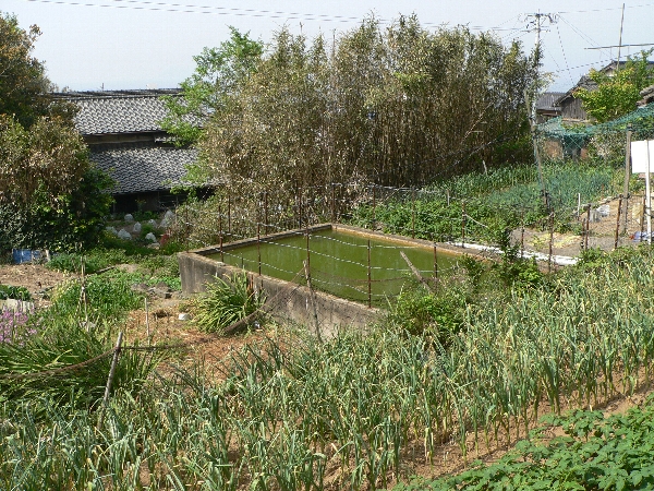 e0002314_20244675.jpg